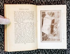 Buffalo Roost, F. H. Cheley, 1913, First Edition, Hardcover, Antique
