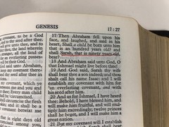 Oxford Pilgrim Study Bible KJV 1976 USA berkshire leather *see details*