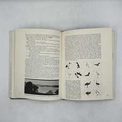 James Fisher & Roger Tory Peterson’s WORLD OF BIRDS Revised HC Cream DJ 192