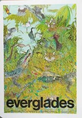 Everglades Wildguide – Paperback By George, Jean Craighead – GOOD