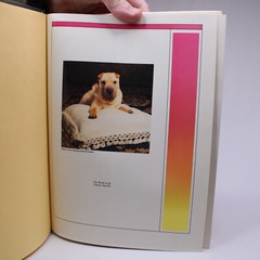THE WORLD OF THE CHINESE SHAR-PEI By Anna Katherine Nicholas Hardcover Book Good