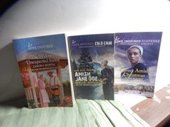 *NEW PRICE Lot of 19 Paperback Amish Romance Novels – Various Titles/Authors