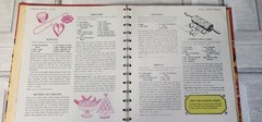Betty Crocker’s Cooky Book 1973 450+ recipes grannycore color photos 156 pages