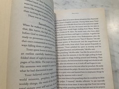 Life of A. W. Tozer : In Pursuit of God by James Snyder