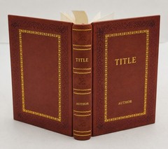 The First Five Pages: A Writer’s Guide to Staying Out of [Premium Leather Bound]