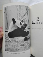 Ling-Ling and Hsing-Hsing : Year of the Panda Collins & Page Jr. 1st Ed (371)