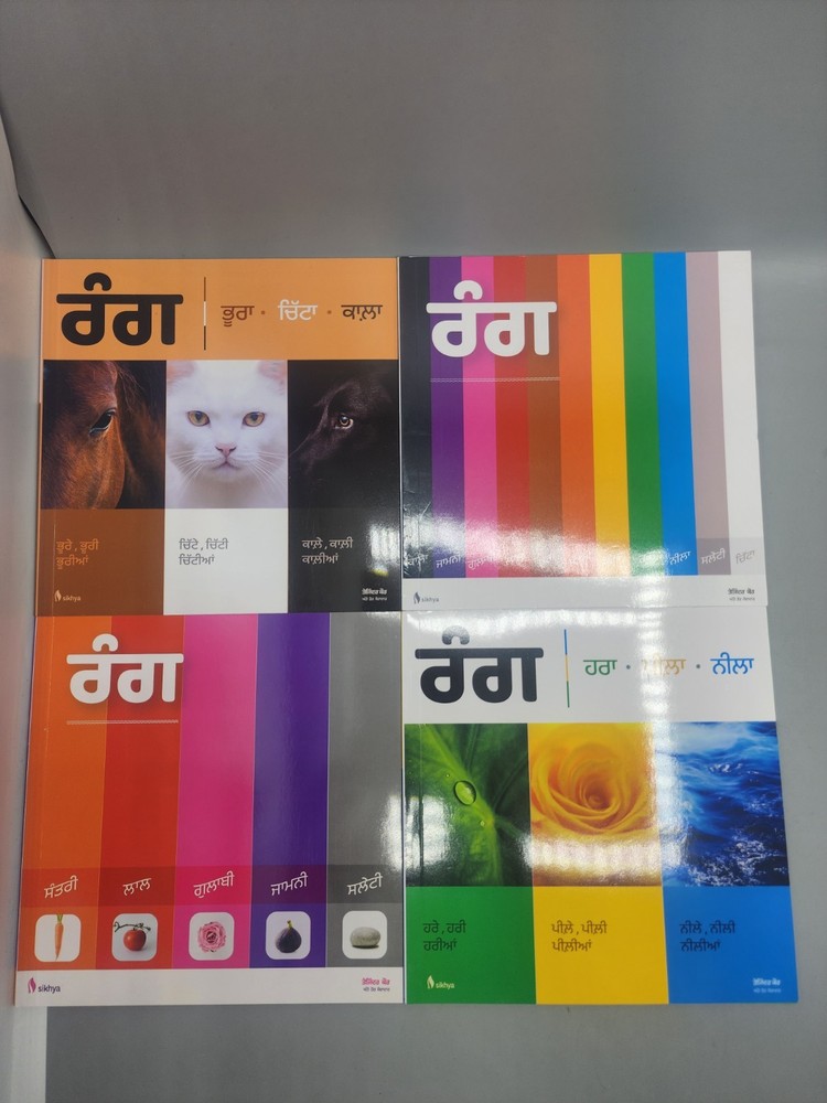 Punjabi Rang Childrens Educational Kids Books Lot of 8