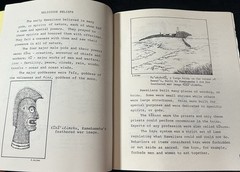 2 Hawaii Juv History BEHOLD HAWAII and HAWAII NEI Julie Stewart Williams 1999