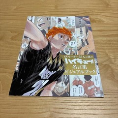 Sportiva Haikyu Quote Collection Visual Book Volleyball Artwork