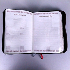 Holy Bible Red Letter Revised Standard Version – 1972 Nelson 4807 Second Edition