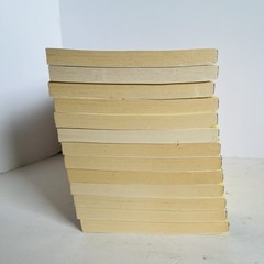 Lot of 13 Tuck Everlasting Natalie Babbitt Square Fish Classroom Guided Reading