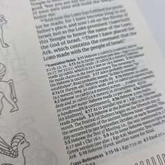 NLT Bible DaySpring Inspire Illustrating Bible With Filament App Spiral Bound