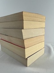 Lot of 6 Mystery Themed Novels Paperbacks Mixed Titles from Bantam Books