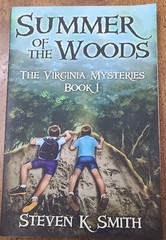 Chapter Books for Boys Lot of 3