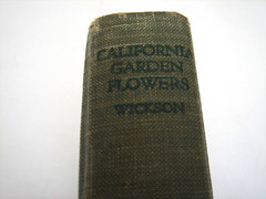 California Garden Flowers by Edward Wickson 1923 Second Edition 255 Pages