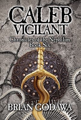 Caleb Vigilant by Godawa, Brian