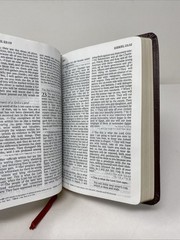 HCSB Large Print Compact Bible • Burgundy Bonded Leather (2005, Holman)