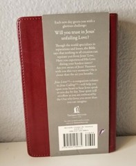 Jesus Lives : Seeing His Love in Your Life by Sarah Young (2009) Leather bound