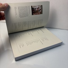 The Secret Language of the Renaissance Book Art History Italian Symbols