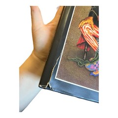 Pletka w/Evan Maurer Hardback Coffee Table Book SIGNED By Paul Pletka 1st Ed Art