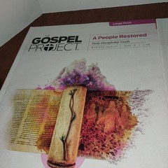 Lifeway Gospel Project Daily Discipline Guide Bible Study Large Print Vol 6 & 7