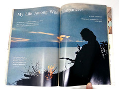 National Geographic August 1963 First Jane Goodall Issue Magic Walt Disney & Map