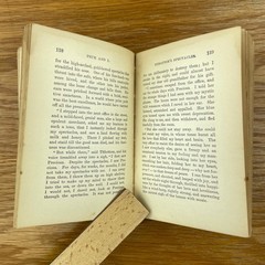 Vintage 1899 Prue And I George William Curtis Softcover Book