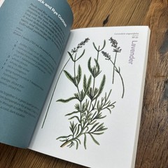 Herbal Handbook Recipes Tinctures Teas Balms And More New York Botanical Garden