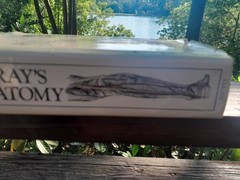 Gray’s Anatomy: The Classic Collector’s Edition~Henry Gray~VINTAGE 1977 HC/DJ