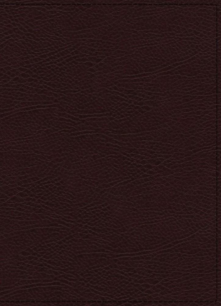 NIV, Maxwell Leadership Bible, 3rd Edition, Premium Bonded Leather, Burgundy, Co
