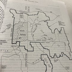 Reintroduction Of The Mexican Wolf Within Its Historic Range In The Southwestern