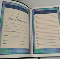 The Living Insights Study Bible NIV Zondervan Bonded Leather 1996 Swindoll Navy