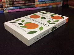 Commonwealth: A Novel By Patchett, Ann ( 2017, Paperback) VG