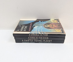 Lot of 3 A Wrinkle in Time Books 1-3 by Madeleine L’Engle Paperback 1970s