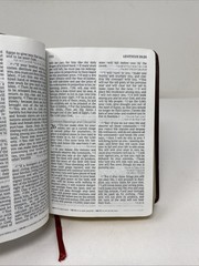 HCSB Large Print Compact Bible • Burgundy Bonded Leather (2005, Holman)