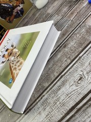 Campbell Biology: Concepts & Connections [RENTAL EDITION] (10th Edition) – VG