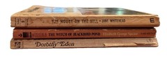Lot of 3 Paperback Books From The 1960s & 70s Vintage Gothic Suspense Romance