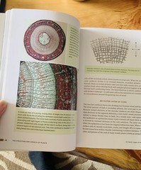 Botany for Gardeners Fourth Edition Brian Capon 2022 Timber Press Paperback
