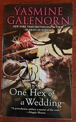 Chintz n China Paranormal Romance Mystery Books 1 To 5 By Yasmine Galenorn