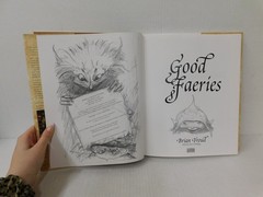 Good Faeries-Bad Faeries by Brian Froud Hardcover 1998