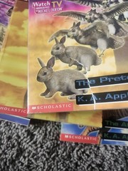 ANIMORPHS Books K.A. Applegate Paperback Lot Of 13