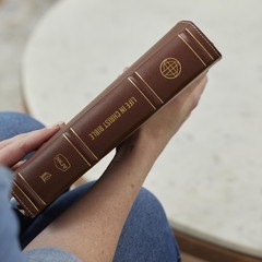 Life in Christ Bible: Discovering, Believing, and Rejoicing in Who God Says…