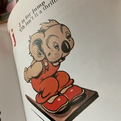 Blinky Bill’s ABC by Dorothy Wall (Hardcover, 1992) Vintage
