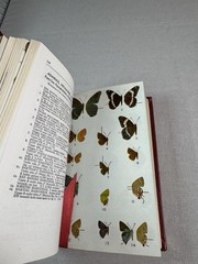 Roger Peterson Field Guide Eastern Butterflies of North America 349 pages 1986