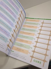 Step-By-Step Word Ladder Challenge Workbook Grades 4-5 Michelle Gajda Pre-owned