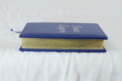 Peace Lagoon: Sacred Songs of the Sikhs (1989, Pocket Size)
