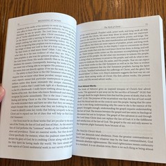 Beginning At Moses By Michael P. V. Barrett PB