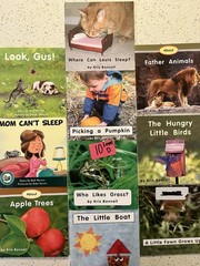 60 RR Books F&P Text Level decodable Leveled (A-F) Readers Lot, Paperback