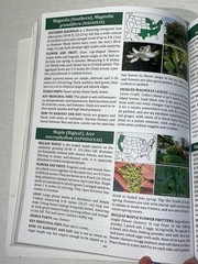The Forager’s Guide to Wild Foods Book By Nicole Apelian, 2021 North American Ed