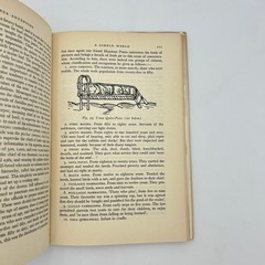 Inca Adventure Bertrand Flornoy 1956 First Edition Illustrated George Allen &